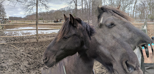 Park «Caumsett State Park», reviews and photos, 25 Lloyd Harbor Rd, Lloyd Harbor, NY 11743, USA