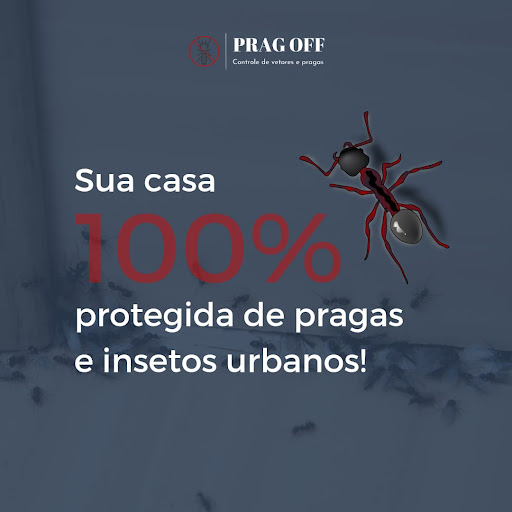 Logo da empresa - Prag Off - Controle de Pragas