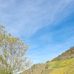 Photo n°2 de l'avis de Rosalie.l fait le 26/10/2022 à 14:19 sur le  TERRA MOSEL - Event Arena im Weinberg vom Weingut Thielen-Feilen à Minheim