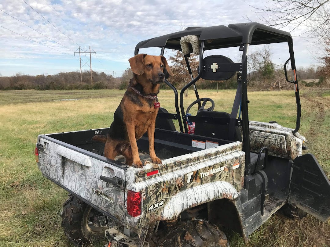 Pilkington North America Inc