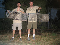 Wildlife Removal Montgomery - Photo 9 - Car repair in Montgomery, AL, Montgomery