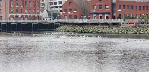 Clothing Store «Gap», reviews and photos, 125 Main St, Westport, CT 06880, USA