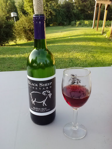 Winery «Black Sheep Vineyard Inc.», reviews and photos, 1454 US-250, Adena, OH 43901, USA