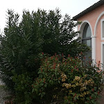 Photo n°19 de l'avis de Lollo.x fait le 18/03/2018 à 12:35 sur le  Casa Conti Guidi 2.0 à Bagnacavallo