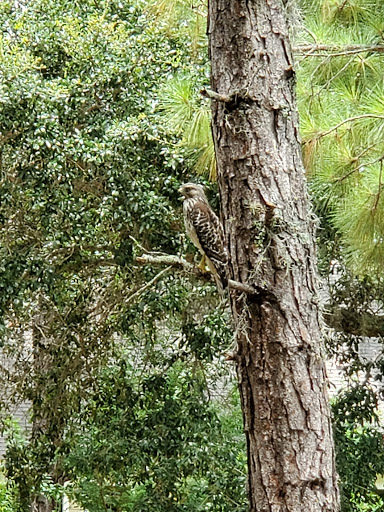 Golf Course «Golden Bear Club», reviews and photos, 6300 Jack Nicklaus Pkwy, Windermere, FL 34786, USA