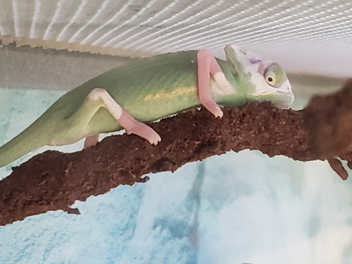 Pet Supply Store «Petco Animal Supplies», reviews and photos, 1014 Shoppes At Midway Dr, Knightdale, NC 27545, USA