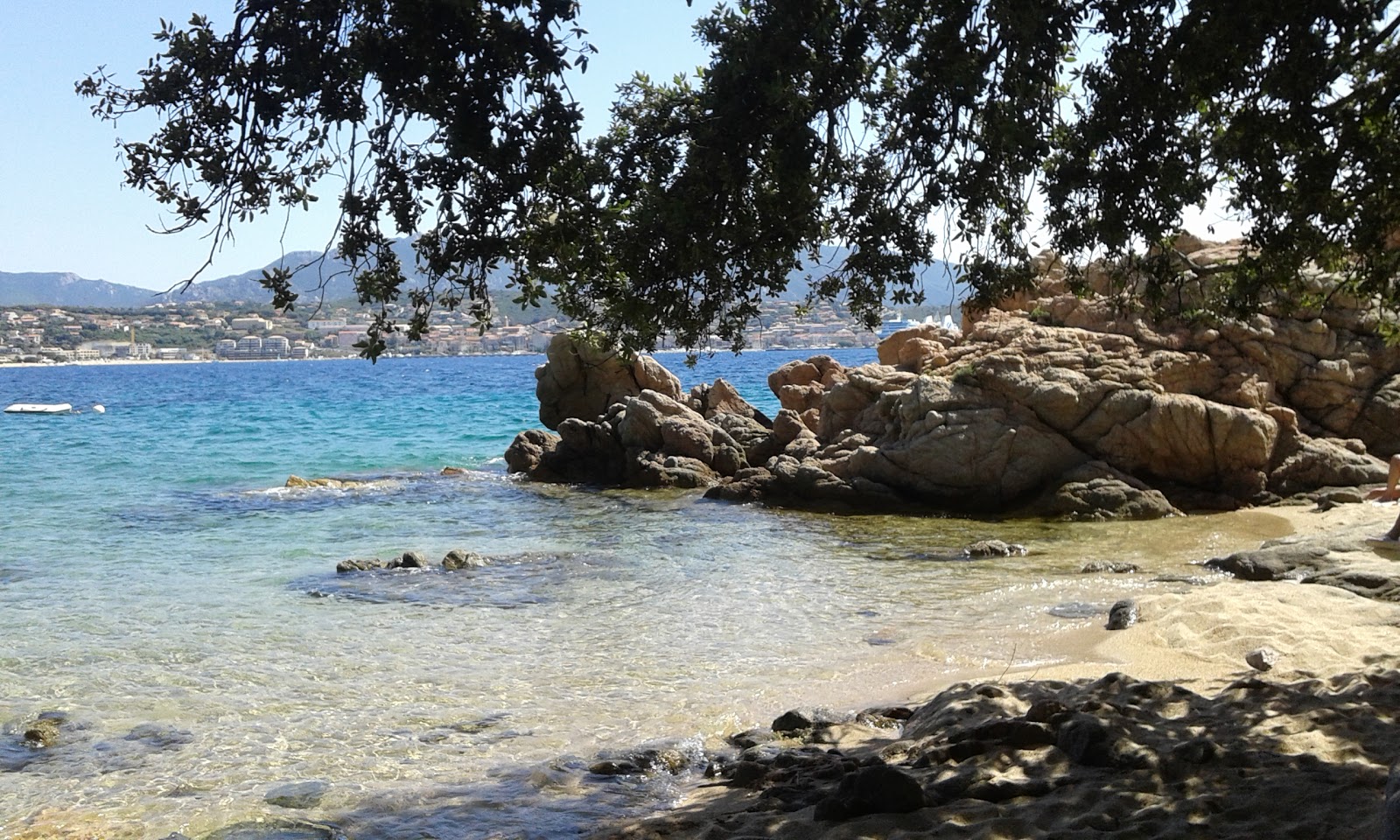 Photo de Marinca beach avec un niveau de propreté de très propre