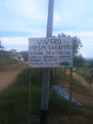 Vivero M.P.S.M Tarapoto