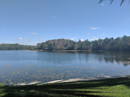 Insurance Agency «MetLife», reviews and photos