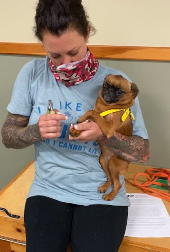 Pet Trainer «Especially For Pets Inc», reviews and photos, 424 Boston Post Rd, Sudbury, MA 01776, USA