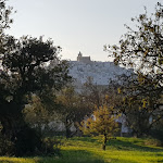Photo n°4 de l'avis de Cristian.u fait le 01/11/2021 à 11:29 sur le  Ristorante Il Fienile Ostuni à Ostuni