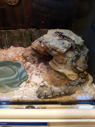 Pet Supply Store «PetSmart», reviews and photos, 4500 Mitchellville Rd, Bowie, MD 20716, USA