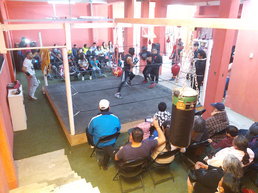 Gimnasio de Box Castillo