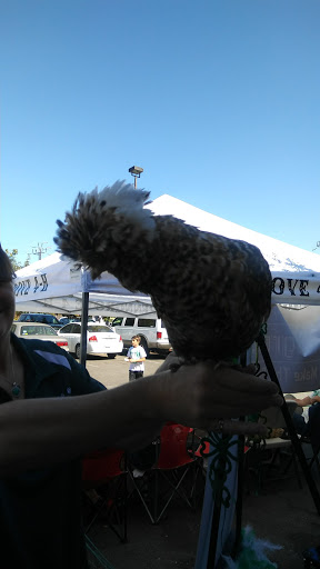 Home Improvement Store «Tractor Supply Co.», reviews and photos, 2000 Lakeville Hwy a, Petaluma, CA 94954, USA