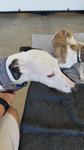 Pet Supply Store «Centinela Feed & Pet Supplies», reviews and photos, 22840 Hawthorne Blvd, Torrance, CA 90505, USA