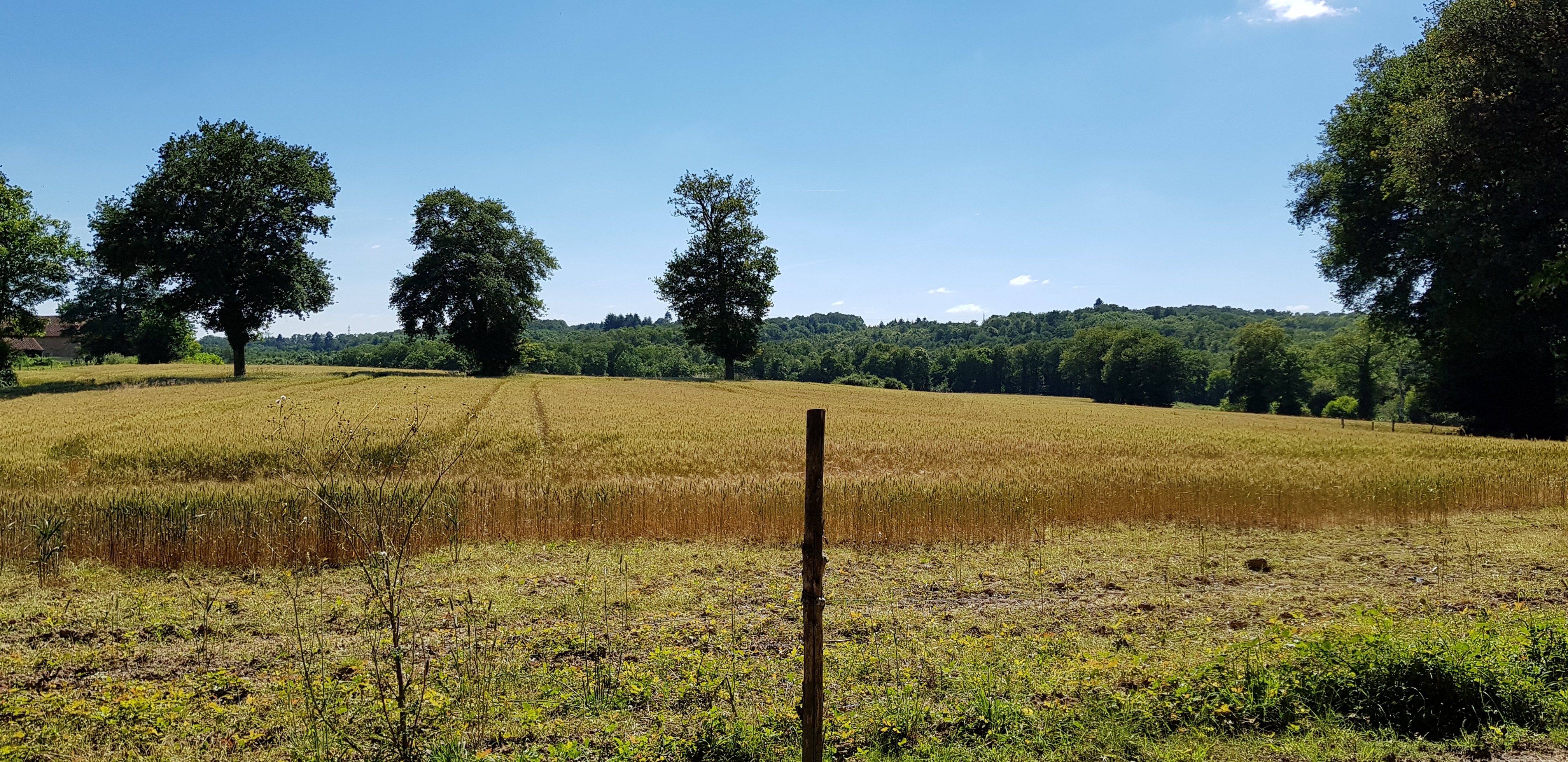 Photo n° 6 de l'avis de Raphael.r fait le 22/06/2018 à 18:50