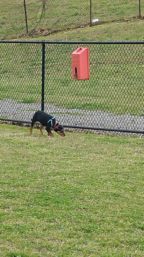 Dog Park «MacArthur Dog Park», reviews and photos, 601 E 9th St, Little Rock, AR 72202, USA