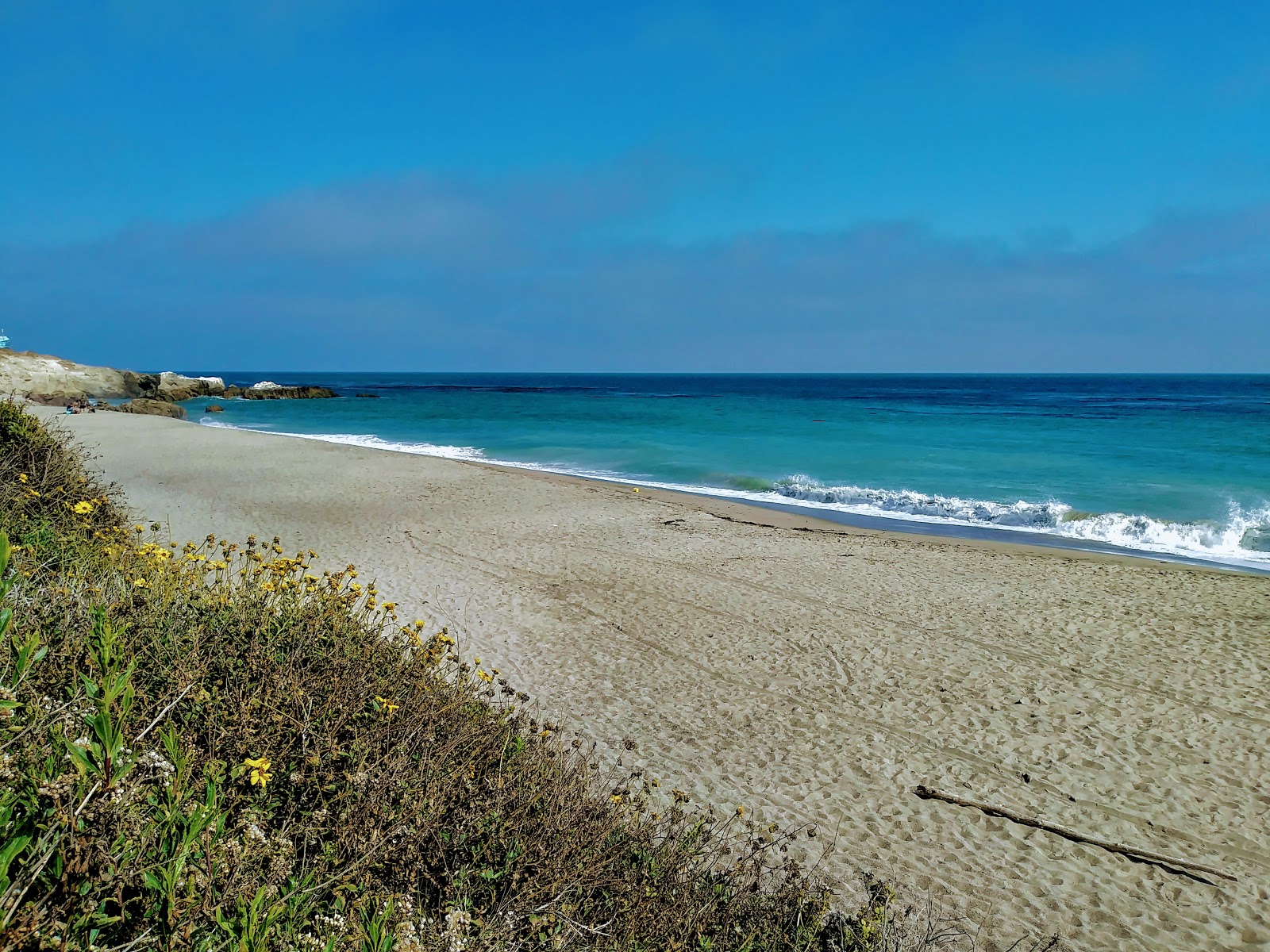 Leo Carrillo Beach的照片 带有宽敞的海岸