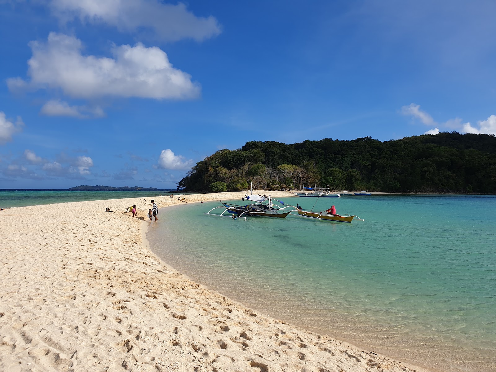 Zdjęcie Ditaytayan Island Beach z powierzchnią beżowy piasek
