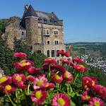 Photo n°1 de l'avis de Keca.v fait le 28/05/2017 à 07:07 sur le  Burghotel Auf Schönburg Oberwesel à Oberwesel