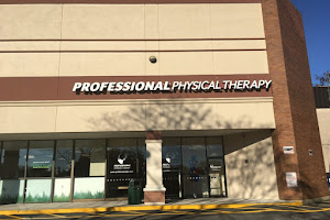 Professional Physical Therapy