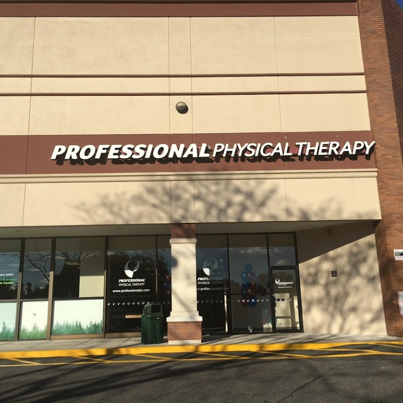 Professional Physical Therapy