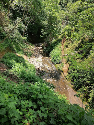 Reserva Ecológica La Ardilla (Zona 15)