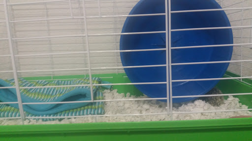 Pet Store «Wildside Pets», reviews and photos, 1042 N Higley Rd #105, Mesa, AZ 85205, USA