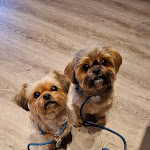 Photo n°14 de l'avis de Anthony.� fait le 13/10/2023 à 10:56 sur le  Ristorante Pizzeria Mega Wendtorf à Wendtorf