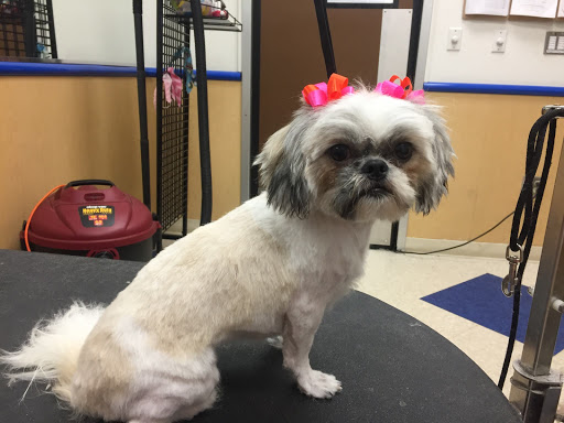 Pet Supply Store «Petsense Foley», reviews and photos, 2139 S McKenzie St, Foley, AL 36535, USA