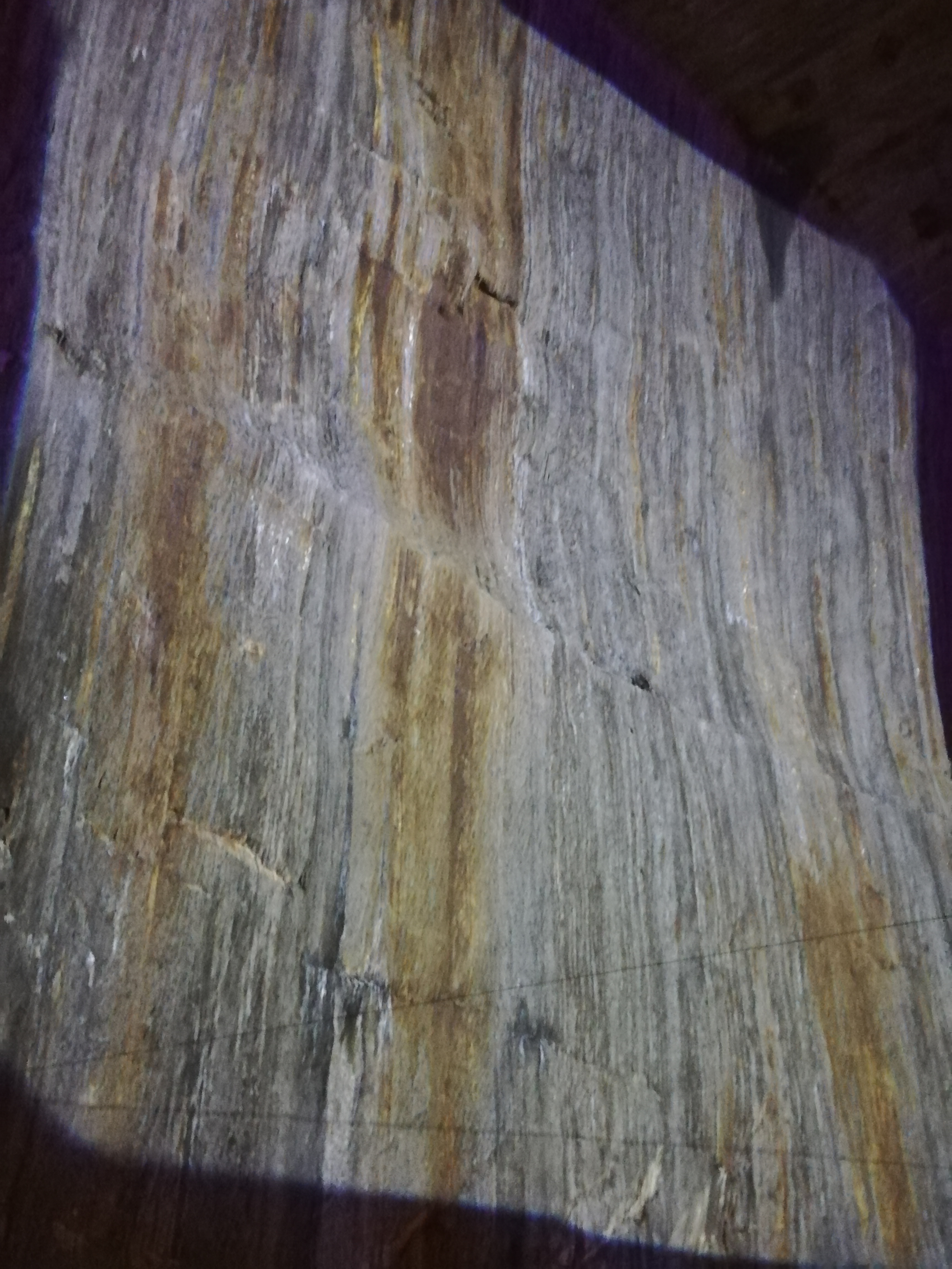 Photo n° 1 de l'avis de isabelle.o fait le 16/11/2021 à 18:54