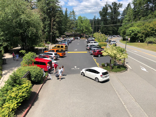 Tourist Attraction «Snoqualmie Falls Lower Observation Deck», reviews and photos, 37451 SE Fish Hatchery Rd, Fall City, WA 98024, USA