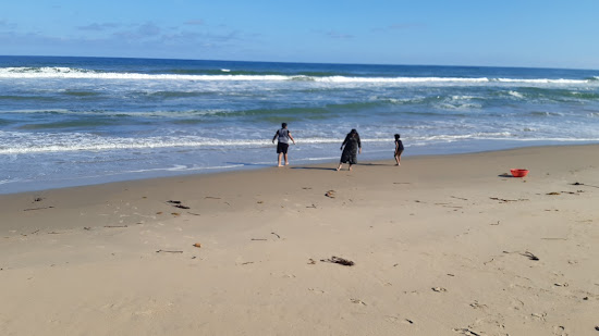Island Beach