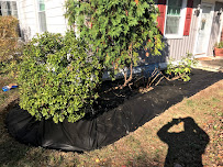 Lawn Masons - Photo 9 - Car repair in Parkville, MD, Baltimore