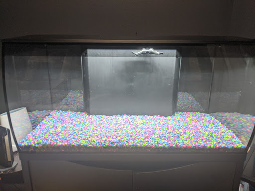 Tropical Fish Store «The Fish Store», reviews and photos, 12320 Lake City Way NE, Seattle, WA 98125, USA