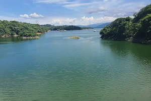 Presa de Rincon image