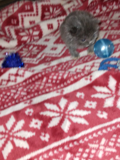 Pet Supply Store «Care-A-Lot Pet Supply Oyster Point», reviews and photos, 301 Oyster Point Rd, Newport News, VA 23602, USA