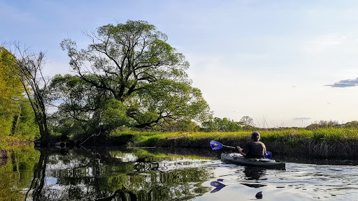 Park «Millennium Park», reviews and photos, 300 Gardner Street, West Roxbury, MA 02132, USA