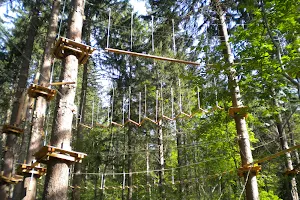 Rope Park in the Forest image