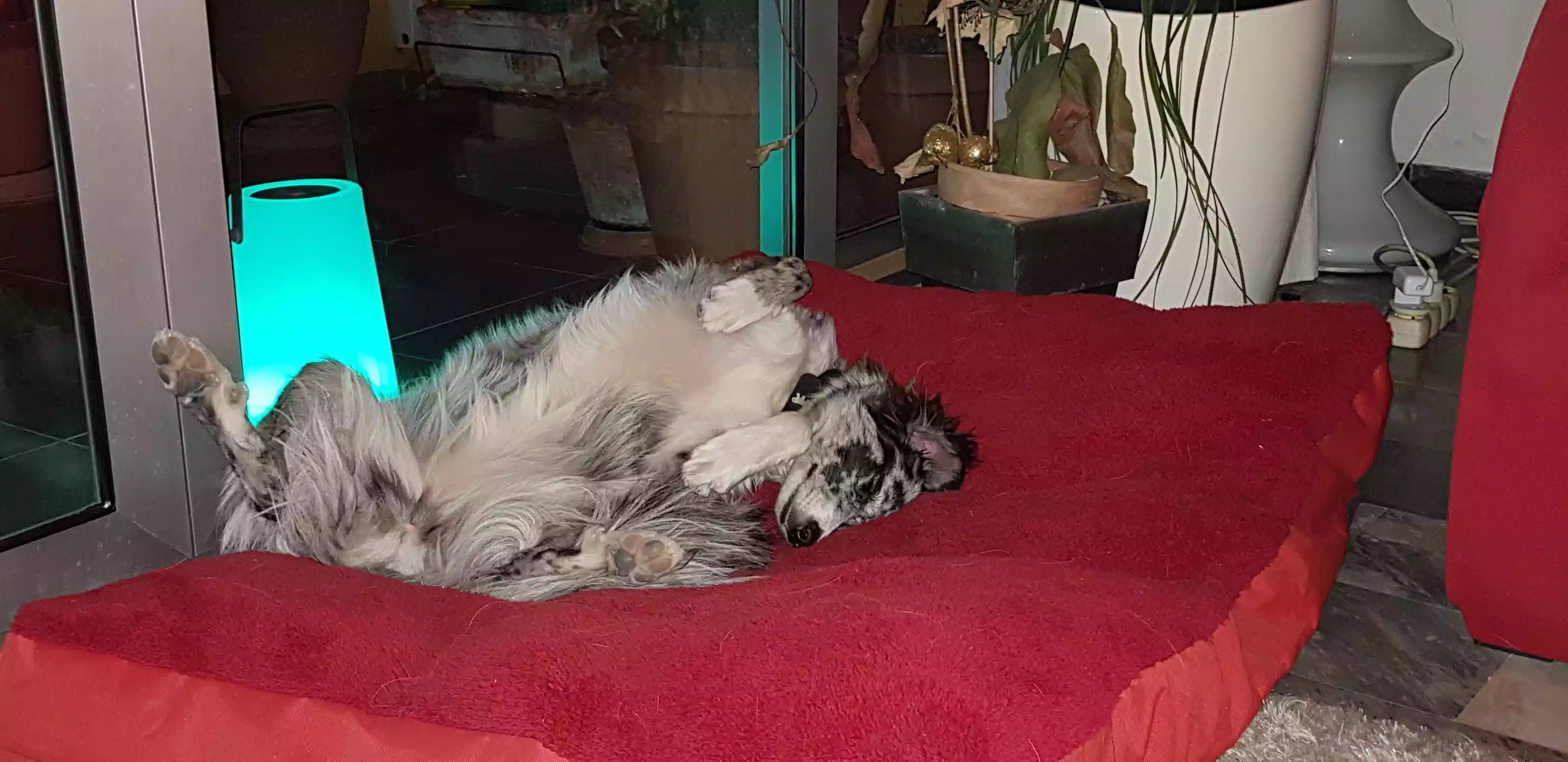 Photo n° 5 de l'avis de Ugo.e fait le 18/10/2018 à 09:15