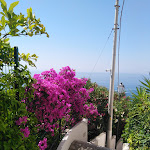 Photo n°3 de l'avis de Paola.i fait le 02/07/2019 à 16:44 sur le  Le Nereidi Eventi à Amalfi