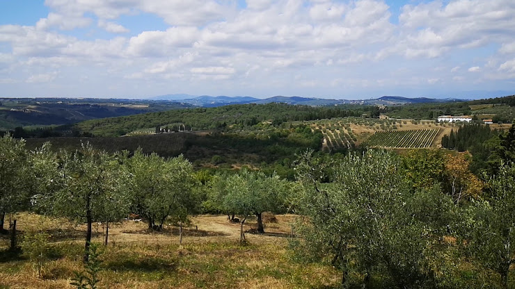 Vidéos Bed & Breakfast Ancora del Chianti B&B 50022 Greve in Chianti