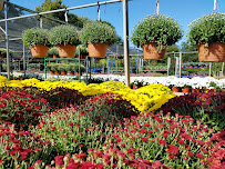 CREW CUT LANDSCAPING LLC - Photo 9 - Car repair in Fairview, NJ, New York