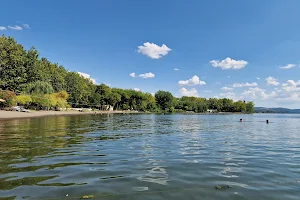 Lago di Bolsena image