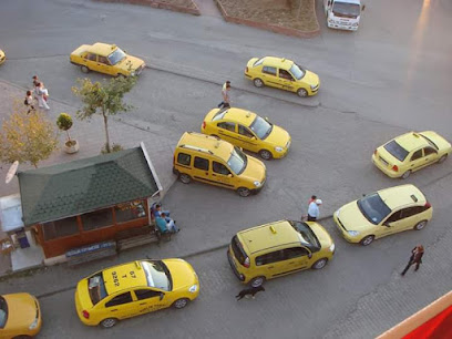 Birlik Taksi - Alaplı Taksi