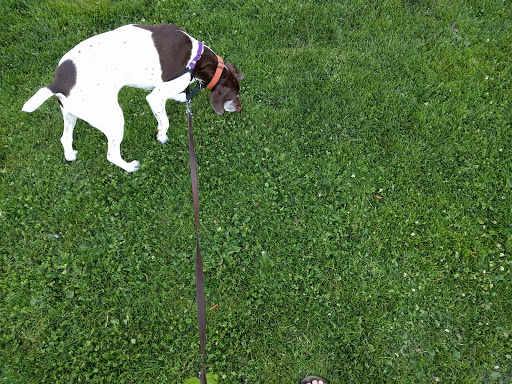 Park «Ballard Commons Park», reviews and photos, 5701 22nd Ave NW, Seattle, WA 98107, USA