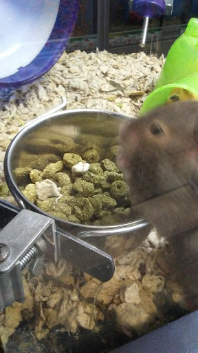 Pet Supply Store «Pet Supplies Plus», reviews and photos, 1530 S Washington St, Crawfordsville, IN 47933, USA