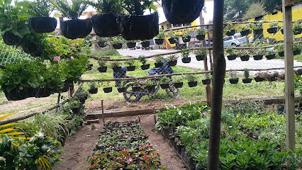 Jardiner&iacute;a en San Juan Sacatep&eacute;quez: Servicios Profesionales