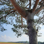 Photo n°9 de l'avis de Heidrun. fait le 19/07/2021 à 18:57 sur le  Hotel & Restaurant am Gothensee à Heringsdorf