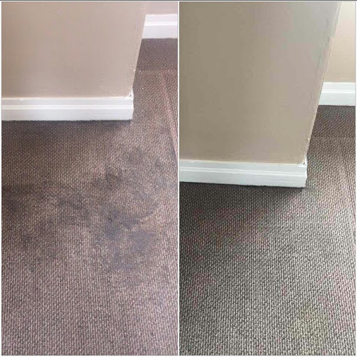 Carpet Cleaning Service «Share Advanced Tile & Carpet Deep Cleaning Services LLC», reviews and photos, 6714 Lower Macungie Rd, Trexlertown, PA 18087, USA